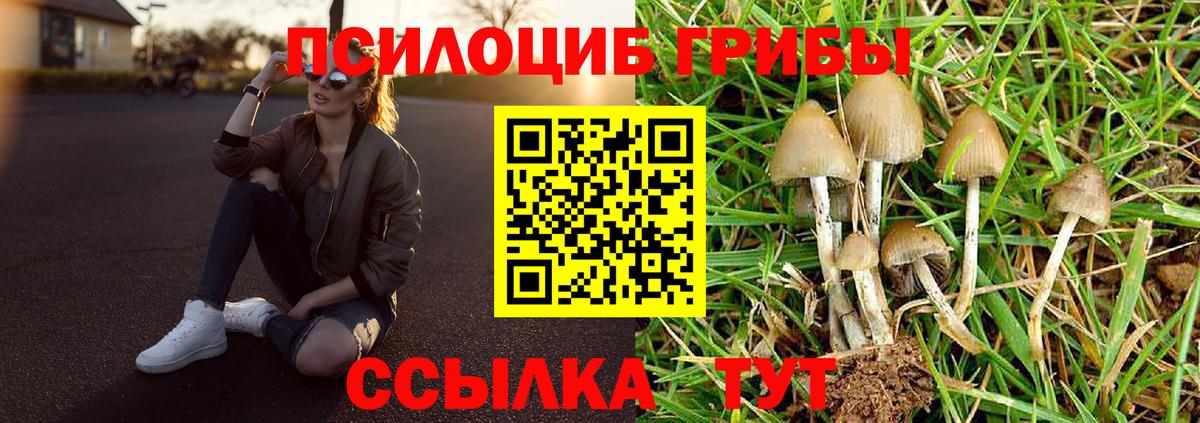 Псилоцибиновые грибы мухоморы Мытищи
