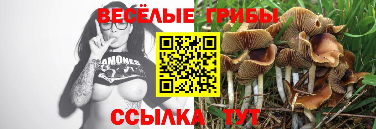 Галлюциногенные грибы GOLDEN TEACHER  Вход с VPN  Мытищи  Галлюциногенные грибы GOLDEN TEACHER 